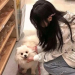 镇魂街对决九游版下载